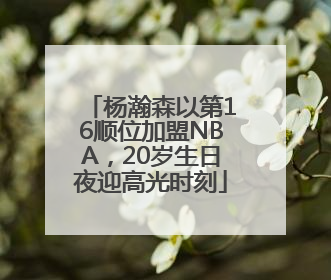 杨瀚森以第16顺位加盟NBA，20岁生日夜迎高光时刻