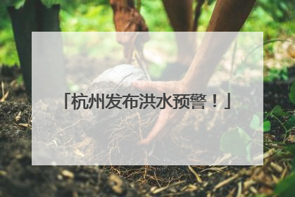 杭州发布洪水预警！