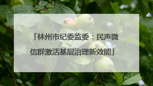 林州市纪委监委：民声微信群激活基层治理新效能