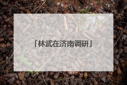 林武在济南调研