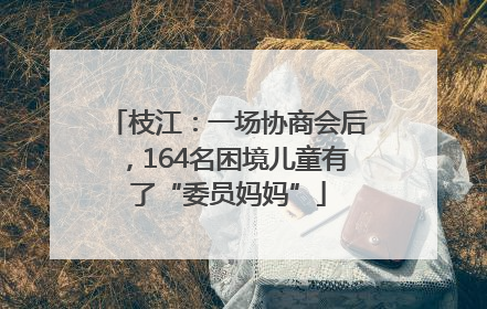 枝江：一场协商会后，164名困境儿童有了“委员妈妈”