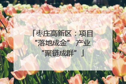 枣庄高新区：项目“落地成金” 产业“聚链成群”