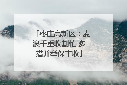 枣庄高新区：麦浪千重收割忙 多措并举保丰收