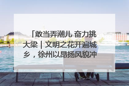 敢当弄潮儿 奋力挑大梁｜文明之花开遍城乡，徐州以昂扬风貌冲刺“万亿之城”