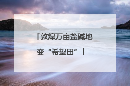 敦煌万亩盐碱地变“希望田”