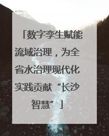 数字孪生赋能流域治理，为全省水治理现代化实践贡献“长沙智慧”