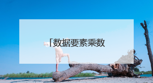 数据要素乘数效应有力释放