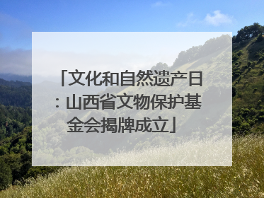 文化和自然遗产日：山西省文物保护基金会揭牌成立