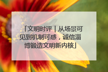 文明时评｜从场景可见到机制可感，诚信淄博锻造文明新内核