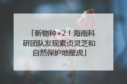 新物种+2！海南科研团队发现素贞灵芝和自然保护地壁虎