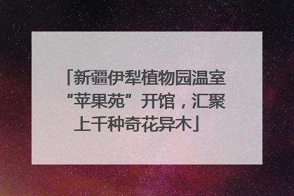 新疆伊犁植物园温室“苹果苑”开馆，汇聚上千种奇花异木