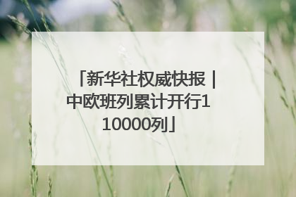 新华社权威快报｜中欧班列累计开行110000列