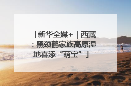 新华全媒+｜西藏：黑颈鹤家族高原湿地喜添“萌宝”