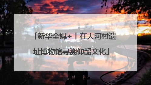 新华全媒+丨在大河村遗址博物馆寻溯仰韶文化