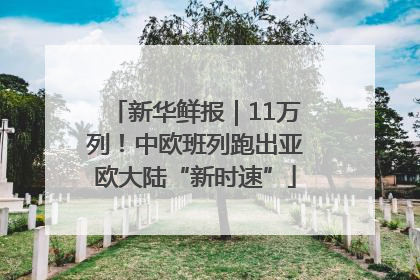 新华鲜报｜11万列！中欧班列跑出亚欧大陆“新时速”