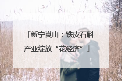 新宁崀山：铁皮石斛产业绽放“花经济”