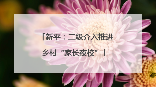 新平：三级介入推进乡村“家长夜校”