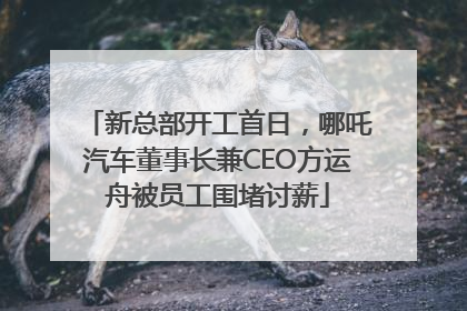 新总部开工首日，哪吒汽车董事长兼CEO方运舟被员工围堵讨薪
