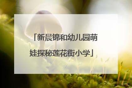 新晨锦和幼儿园萌娃探秘莲花街小学