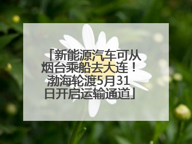 新能源汽车可从烟台乘船去大连！渤海轮渡5月31日开启运输通道