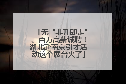 无“非升即走”、百万高薪诚聘！湖北赴南京引才活动这个展台火了