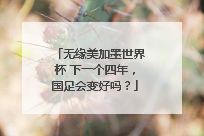 无缘美加墨世界杯 下一个四年，国足会变好吗？