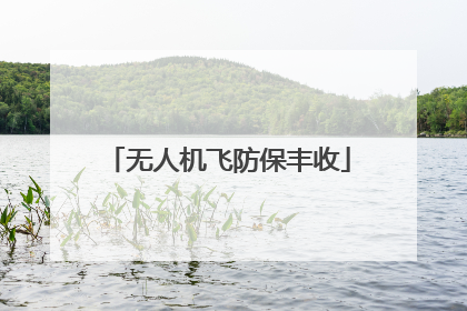 无人机飞防保丰收