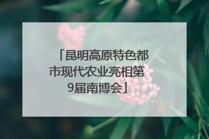 昆明高原特色都市现代农业亮相第9届南博会