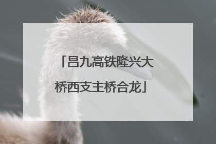 昌九高铁隆兴大桥西支主桥合龙