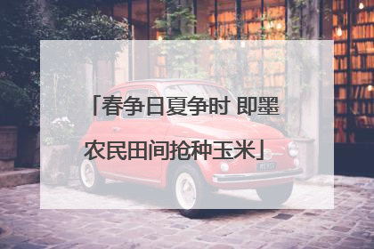 春争日夏争时 即墨农民田间抢种玉米