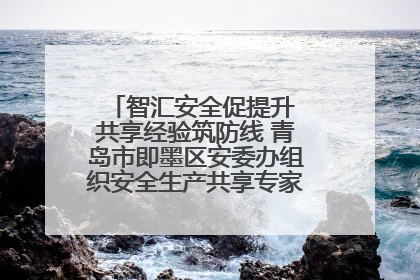 智汇安全促提升 共享经验筑防线 青岛市即墨区安委办组织安全生产共享专家现场观摩学习活动