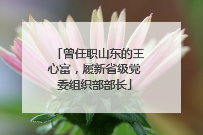 曾任职山东的王心富，履新省级党委组织部部长