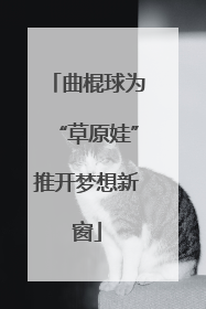 曲棍球为“草原娃”推开梦想新窗