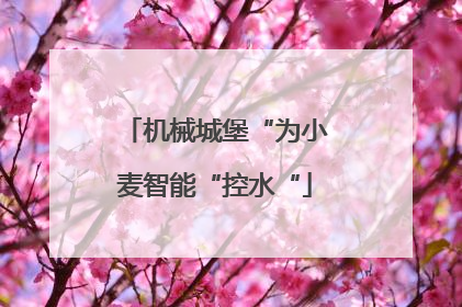 机械城堡“为小麦智能“控水“