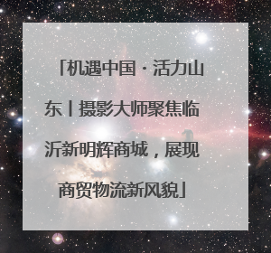 机遇中国・活力山东丨摄影大师聚焦临沂新明辉商城，展现商贸物流新风貌