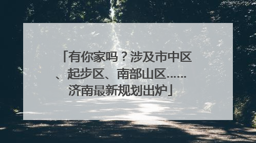 有你家吗？涉及市中区、起步区、南部山区……济南最新规划出炉