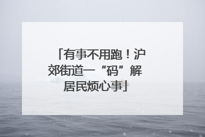 有事不用跑！沪郊街道一“码”解居民烦心事