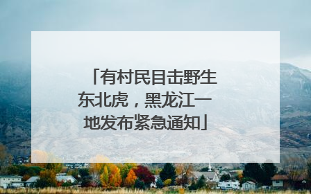有村民目击野生东北虎，黑龙江一地发布紧急通知