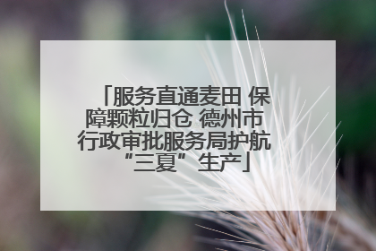 服务直通麦田 保障颗粒归仓 德州市行政审批服务局护航“三夏”生产