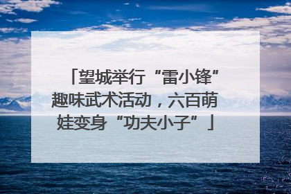 望城举行“雷小锋”趣味武术活动，六百萌娃变身“功夫小子”