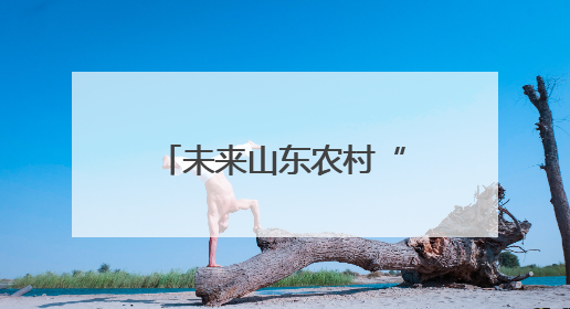 未来山东农村“好房子”怎么建？既要有“里”也要有“面”