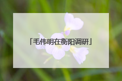 毛伟明在衡阳调研