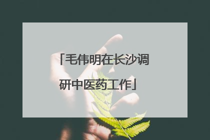 毛伟明在长沙调研中医药工作