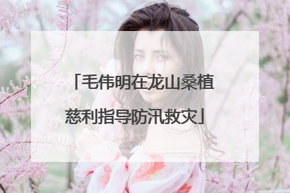 毛伟明在龙山桑植慈利指导防汛救灾