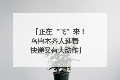 正在“飞”来！乌鲁木齐人速看 快递又有大动作