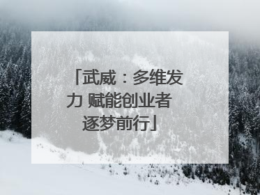 武威：多维发力 赋能创业者逐梦前行