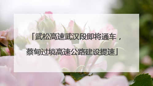 武松高速武汉段即将通车，蔡甸过境高速公路建设提速