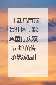 武昌百瑞景社区：粽意童行庆双节 护苗传承筑家园