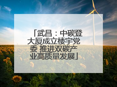 武昌：中碳登大厦成立楼宇党委 推进双碳产业高质量发展