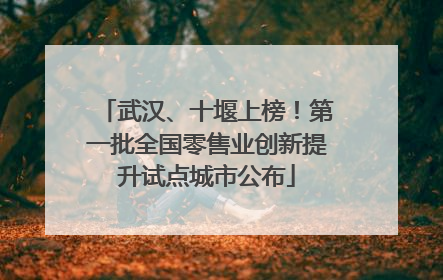 武汉、十堰上榜！第一批全国零售业创新提升试点城市公布